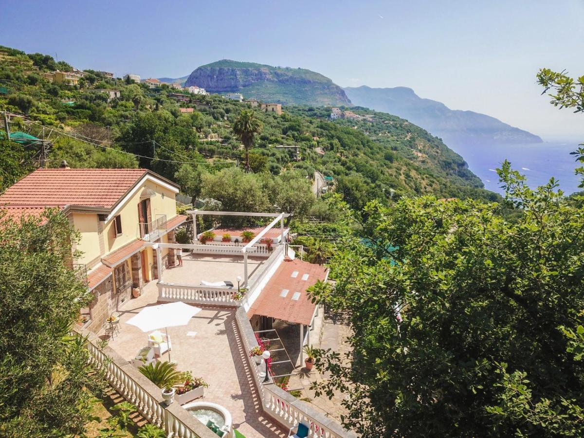 סן אנג'לו Villa Costanza Sorrento B&B מראה חיצוני תמונה