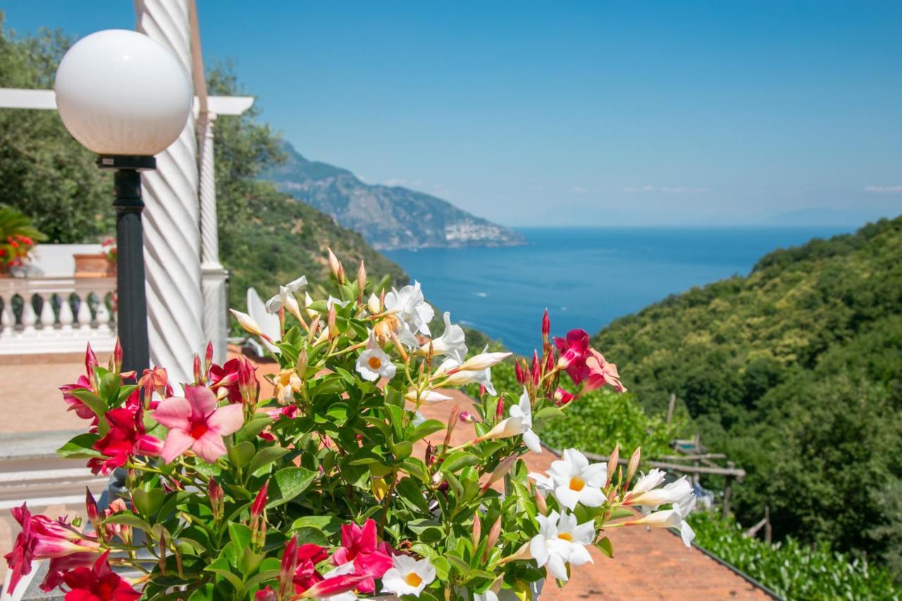 סן אנג'לו Villa Costanza Sorrento B&B מראה חיצוני תמונה