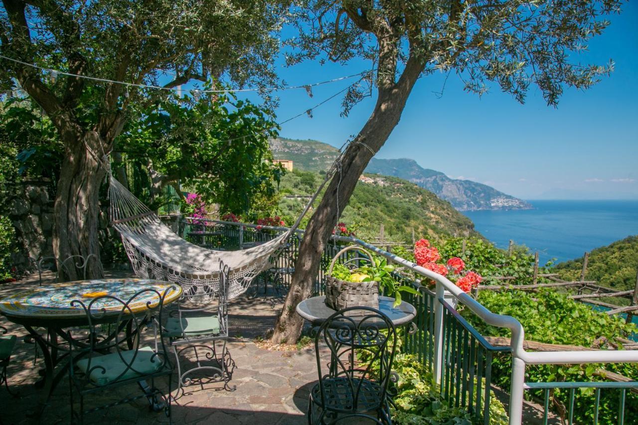 סן אנג'לו Villa Costanza Sorrento B&B מראה חיצוני תמונה
