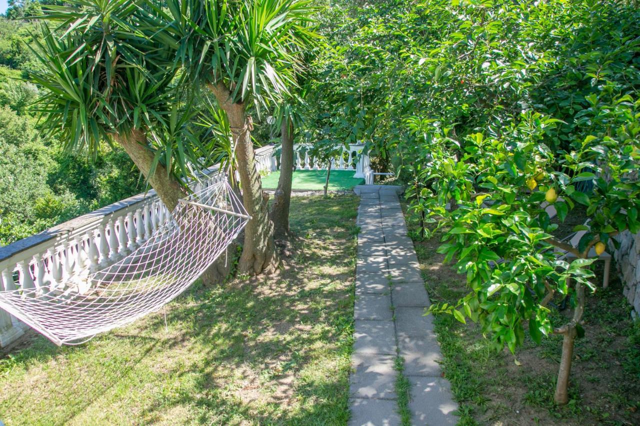 סן אנג'לו Villa Costanza Sorrento B&B מראה חיצוני תמונה