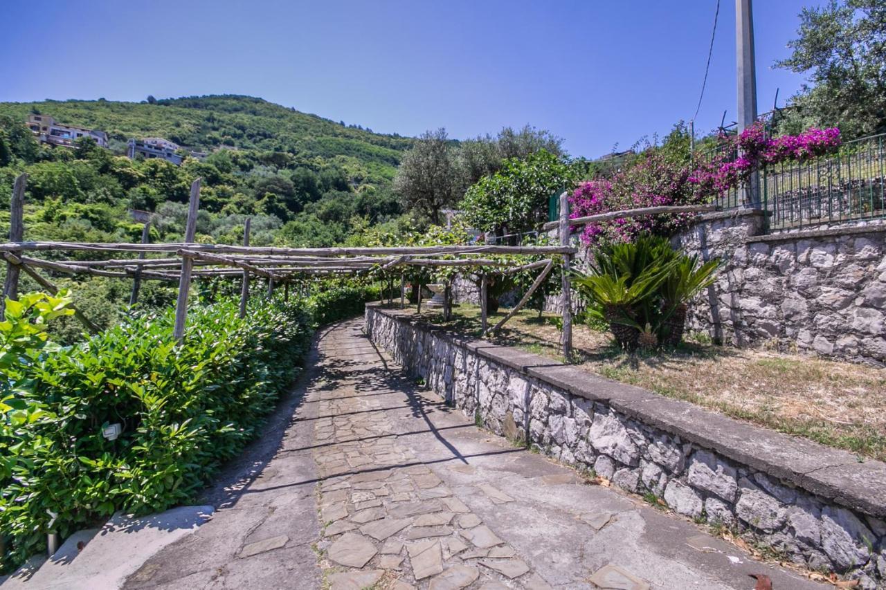 סן אנג'לו Villa Costanza Sorrento B&B מראה חיצוני תמונה