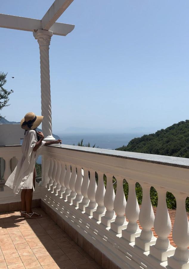 סן אנג'לו Villa Costanza Sorrento B&B מראה חיצוני תמונה