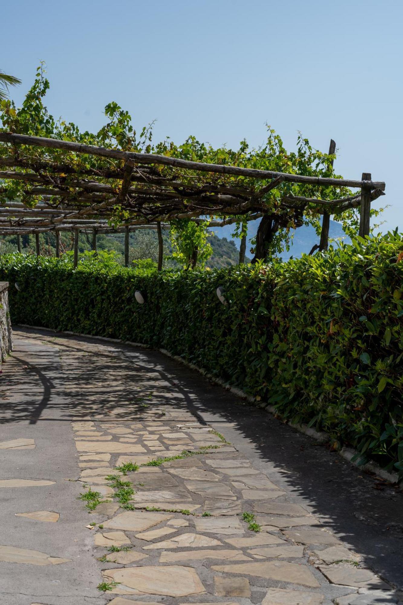 סן אנג'לו Villa Costanza Sorrento B&B מראה חיצוני תמונה