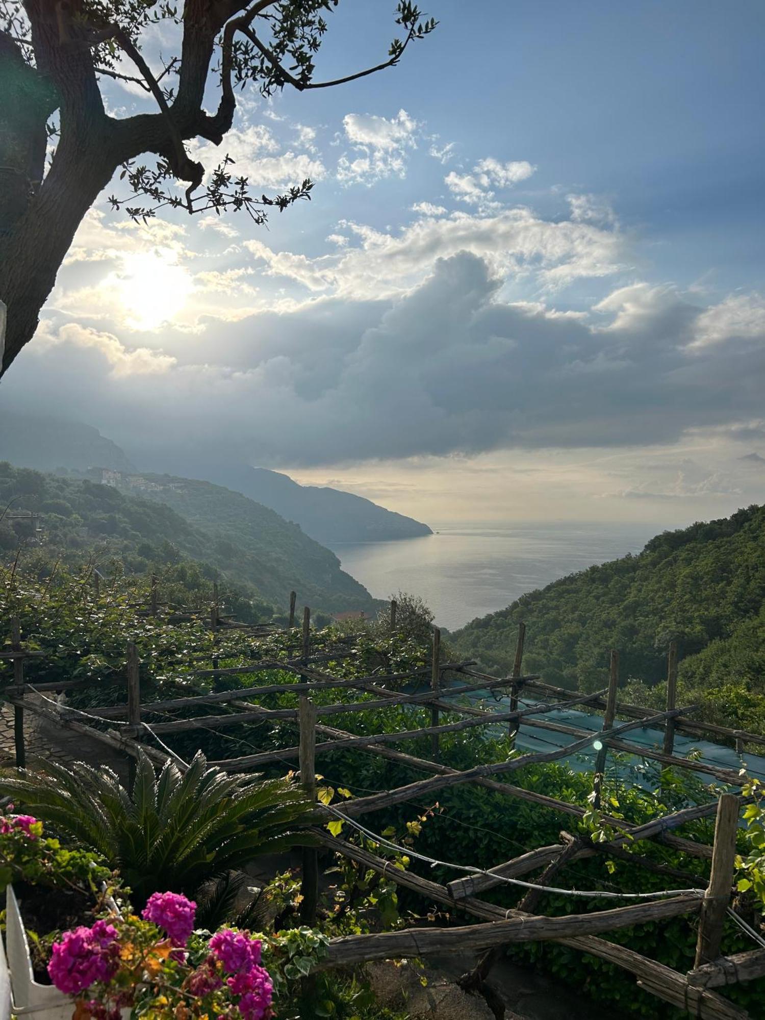 סן אנג'לו Villa Costanza Sorrento B&B מראה חיצוני תמונה